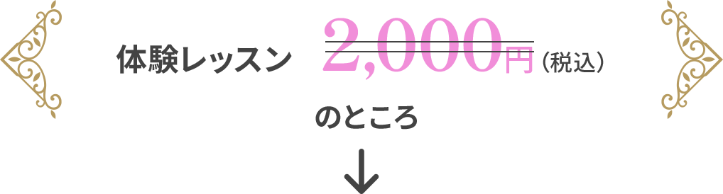 体験レッスン2,000円のところ